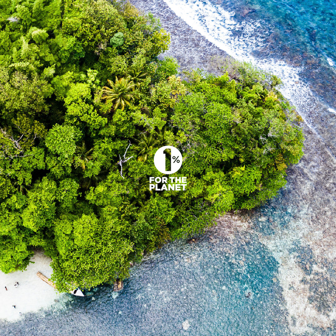 Tropical island aerial view showing lush green forest surrounded by crystal clear blue water